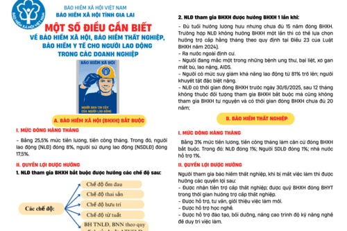 Những điều cần biết về BHXH